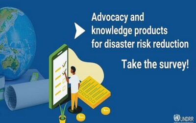 UNDRR Survey on Disaster Risk Reduction