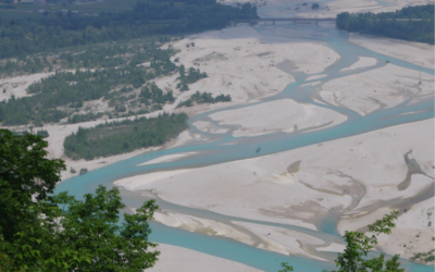 Veröffentlichung von BFN und UFZ: Flussauen und Küsten für Biodiversität und Klima