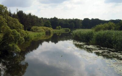 Drohender Wassermangel der Spree nach Kohleausstrieg in der Lausitz