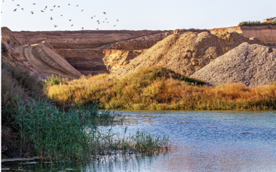 Approval at first reading of the EU Nature Restoration Bill