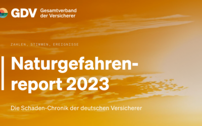 Der Naturgefahrenreport 2023 ist veröffentlicht