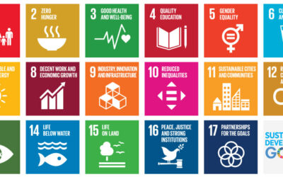 Community engagement – Involving civil society in the implementation of the Sustainable Development Goals