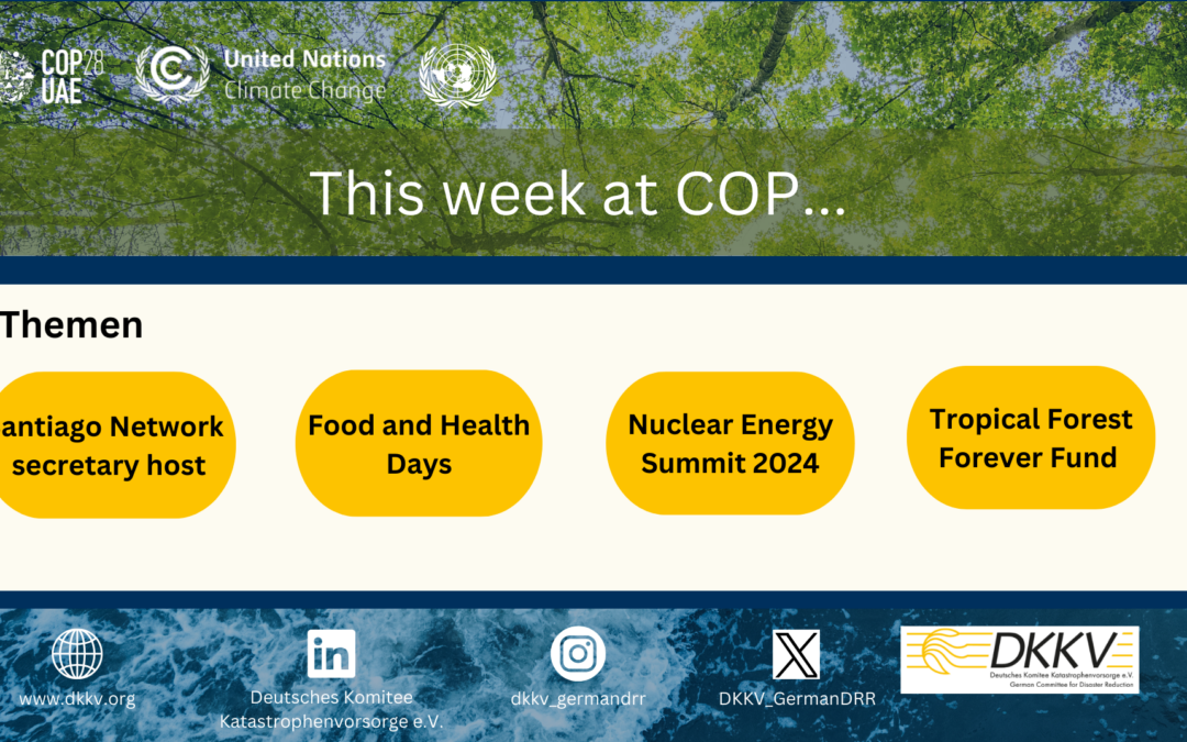 1st Weekend at the COP28 in Dubai