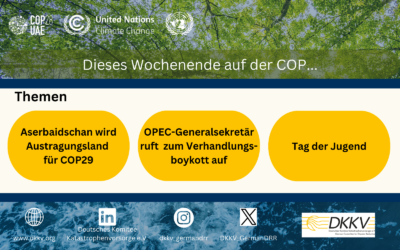 am Wochenende auf der COP28 in Dubai