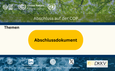 Abschluss der COP28 in Dubai