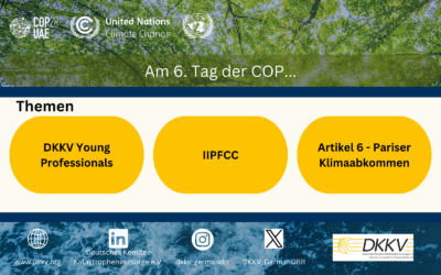 Tag 6 auf der COP28 in Dubai