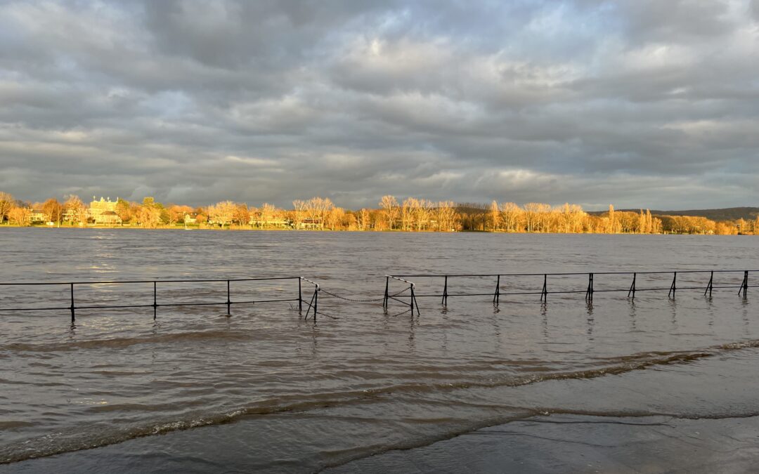 Mittleres Hochwasser am Rhein
