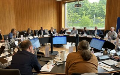 Erstes Treffen des Umsetzungsbeirats der deutschen Resilienzstrategie