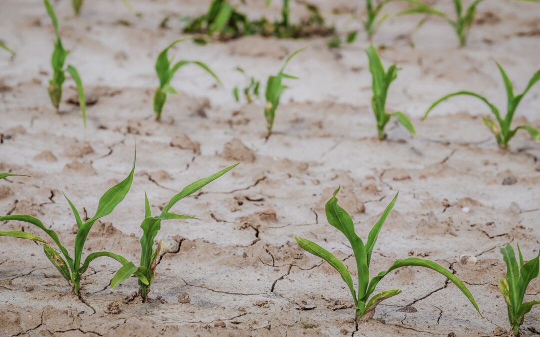 Predicting soil moisture for increased resilience
