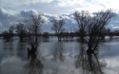 DKKV-Lunchtalk des Flutverteilers: “Hochwasser in Süddeutschland im Juni 2024” am 04.09.2024