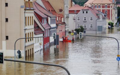 Expert discussion ‘Civil protection during extreme weather events’ on 07 October 2024