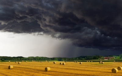 Neue Themenseite „Klimawandel und Attributionsforschung“ jetzt online!