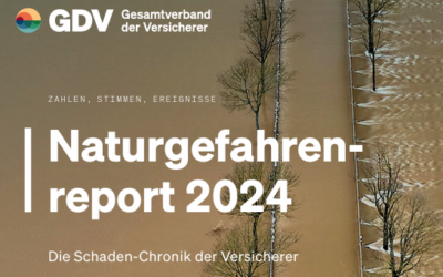 Naturgefahrenreport der GDV erschienen