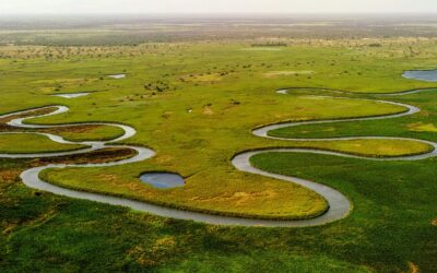 Das BMBF und BMUV nehmen WBGU-Gutachten „Wasser in einer erhitzten Welt“ entgegen