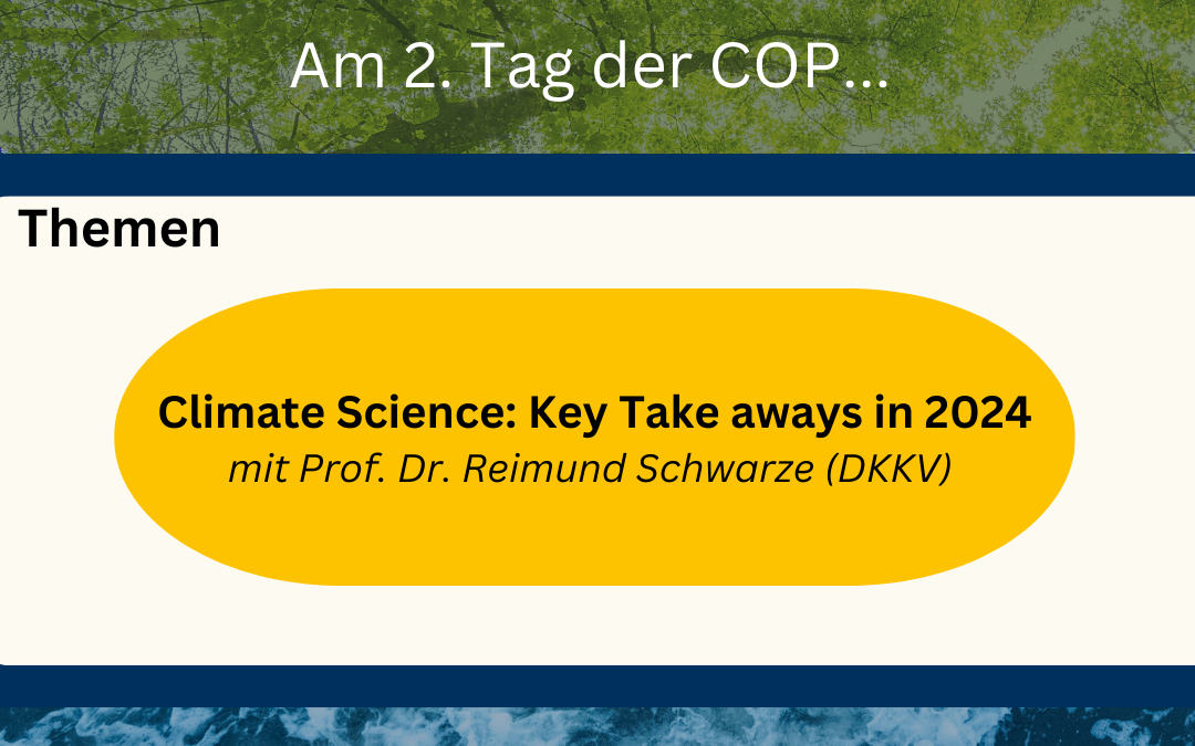 Sideevent bei der COP29 mit DKKV-Beteiligung