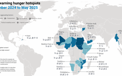 UN report gives insight in hunger hotspots