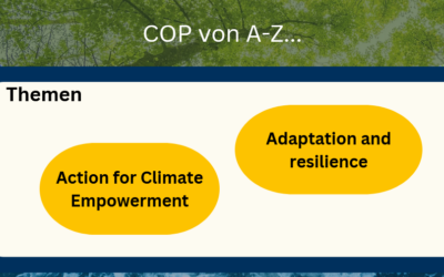 COP29 from A-Z…