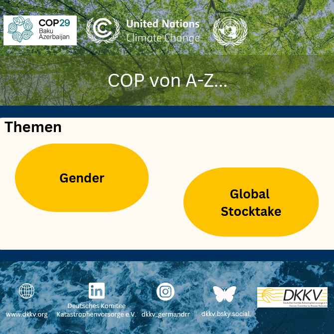 COP29 von A-Z…