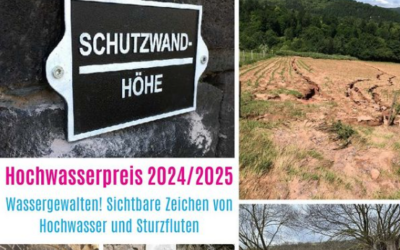 Jetzt bewerben: Hochwasserpreis 2024/2025