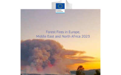 EU report 2023: Some of the worst forest fires since 2000