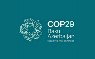 COP 29: Climate finance postponed – CO2 markets finally agreed