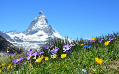 Record heat and extreme precipitation: Summer 2024 in the Alps