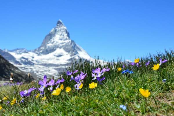 Rekordwärme und extreme Niederschläge: Der Sommer 2024 in den Alpen