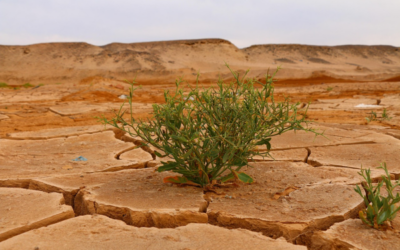 Klimawandel als Sicherheitsrisiko