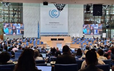 Start of the June Climate Meetings in Bonn (SB 62)