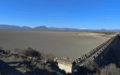 Potsdam Africa Talks 2025 – Bridges Over Troubled Waters: Water diplomacy as the key to peace and development