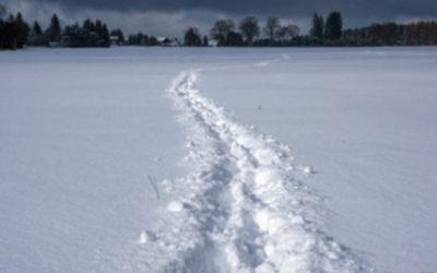 DWD-Pressemitteilung-Perspektiven des Winter- und Bergsports im Zeichen globalen Klimawandels