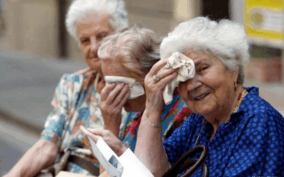 Warning of heatwave with almost 40 degrees in Germany