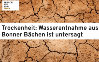 Drought: water withdrawal from Bonn streams is prohibited