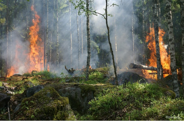 Forest fires on Chios, Greece