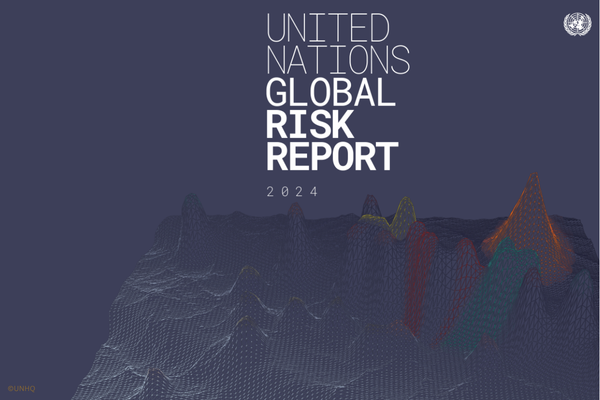 The UN Global Risk Report is published