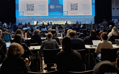 Ende der UNFCCC SB 62 Climate Meetings in Bonn – DKKV-Erfahrungsbericht