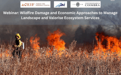Webinar „Wildfire Damage and Economic Approaches to Manage Landscape and Valorise Ecosystem Services“