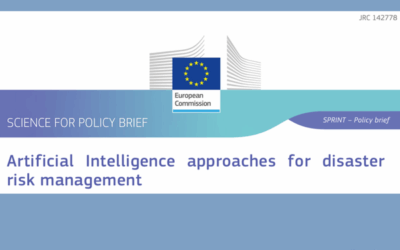 Policy Brief: Artificial intelligence approaches for disaster risk management