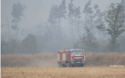 Waldbrände in Ostdeutschland