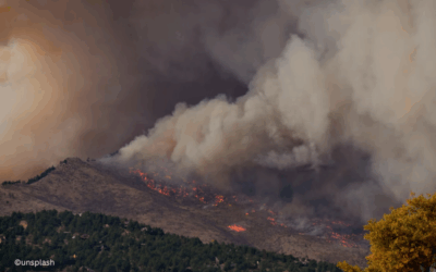 Wildfire in France