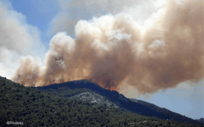 Wildfire in California