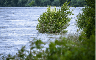 Aktuelles aus dem Bevölkerungsschutz