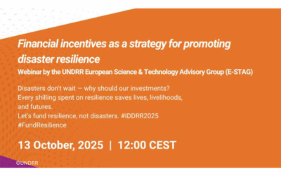 UNDRR Webinar “Financial incentives as a strategy for promoting disaster resilience”