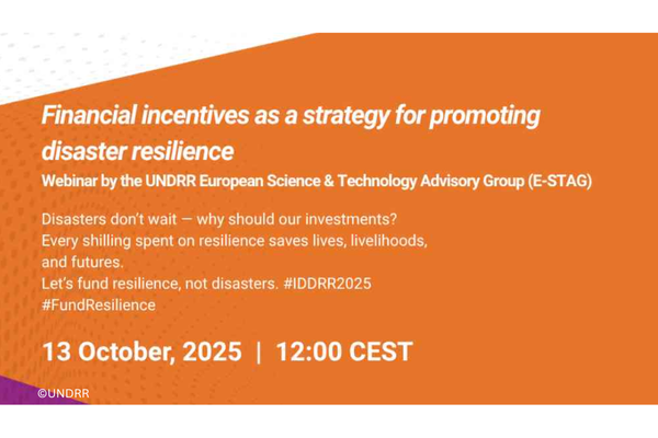 UNDRR Webinar “Financial incentives as a strategy for promoting disaster resilience”