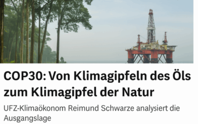 COP30 in Belém: Klimaanpassung und Tropenwaldschutz im Fokus