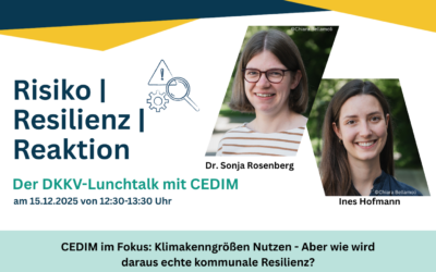 RISIKO | Resilienz | Reaktion: Siebte DKKV-Lunchtalk Session am Montag, 15. Dezember
