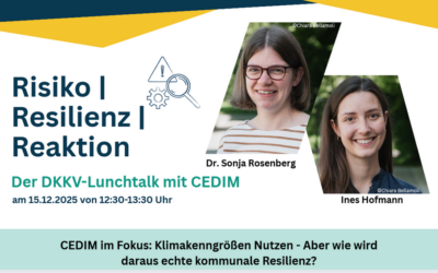 Risiko | Resilienz | Reaktion: Siebte Lunchtalk-Session jetzt auf Youtube anschauen