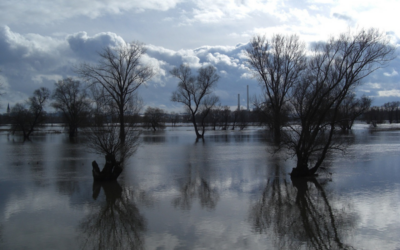Wasser-Extremereignisse im Fokus: WaX-Projekt im aktuellen DWA-Magazin