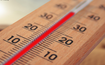 Deutschlandwetter 2025: Sehr warm, außergewöhnlich sonnig und deutlich zu trocken