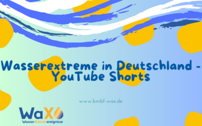 WaX-Film jetzt auch als Kurzvideo-Reihe verfügbar